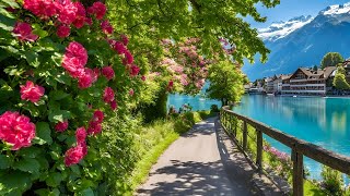 Peaceful Morning Walk in Swiss Town Interlaken Switzerland 🇨🇭Top Travel Destination [upl. by Darom324]