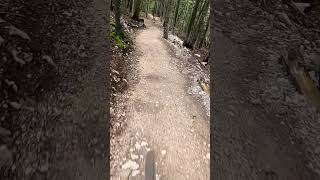 Roller gap in the BikeAll track in Metabief bikepark mtb downhill mtbpark [upl. by Netsrak]