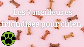 Les 7 meilleures friandises pour chien 2023  Comparatif [upl. by Osyth450]