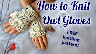 How to Knit Fingerless Owl Gloves or Mitts  FREE Knitting Pattern  Learn to Knit knitting knit [upl. by Coreen]