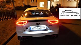 KIA Stinger 20 TGDI  Największa WADA amp Nocny TEST PL [upl. by Nodal131]