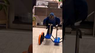 Adorable 🥰 Hyacinth Macaw Cycling 😂 shorts macaw short youtubeshorts [upl. by Mmada]