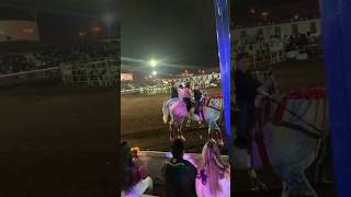 Feria del caballo 2024 [upl. by Orrocos]