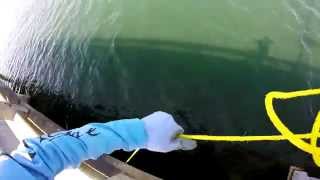 Sunshine Skyway Bridge Goliath Grouper Handline EXTREME Fishing [upl. by Ahserb]