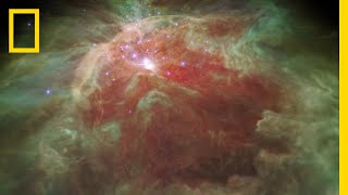 Fly Through a StarStudded Nebula In a New 3D Visualization  National Geographic [upl. by Zannini]