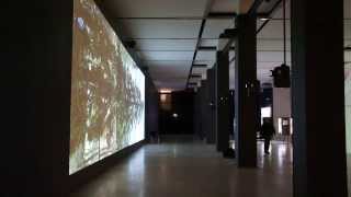 Barco projectors support digital art installations at Moscow Biennale [upl. by Boj745]