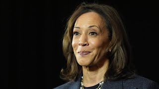 Kamala Harris targeting different ads to states over Israel and Gaza conflict [upl. by Kano531]