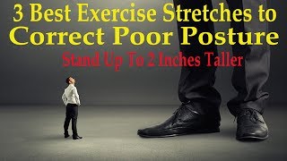 3 Best Exercise Stretches to Correct Poor Posture Stand Up To 2 Inches Taller  Dr Mandell DC [upl. by Francis]