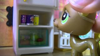 ❀ LPS Behind the Scenes Café [upl. by Merfe]