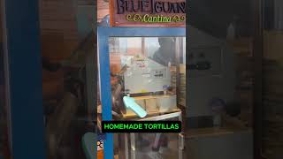 Carnival Cruise Dining  Blue Iguana Does this [upl. by Stewardson]