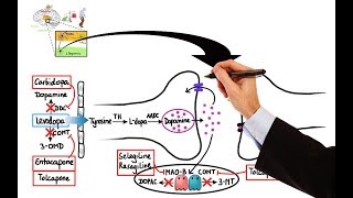 Pharmacology  DRUGS FOR PARKINSONS DISEASE MADE EASY [upl. by Svend]