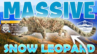 Tracking a 9 Legendary SNOW LEOPARD in Sundarpatan  Call of the Wild [upl. by Keverian]