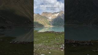 Sheshnag lake 🏔️ harharmahadev amarnathyatra2024 jammukashmir [upl. by Cowden]