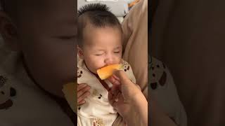 Baby try to wake up Papa for morning walk very cute 🥰🥰🥰 [upl. by Nonnaihr946]