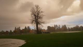 crazy rain storm Surrey BC October 27 330PM [upl. by Alair553]