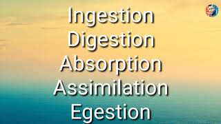 Absorption Assimilation Egestion [upl. by Vas430]