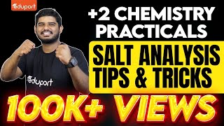 Plus Two Chemistry Practicals  Salt Analysis  Tricks amp Tips  Eduport Plus Two [upl. by Akinimod168]