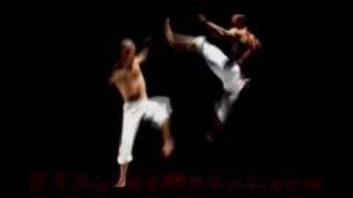 The Best Capoeira Video Ever [upl. by Herschel]