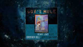 Govt Mule  Brother Bill Last Clean Shirt Visualizer Video [upl. by Tollmann]