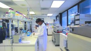 Documentary  Kinetex CoreShell Technology HPLC Column for Reversed Phase Chromatography [upl. by Josler]