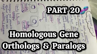 PART 20🧬 Homologous gene  Orthologs amp paralogs [upl. by Faythe654]