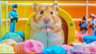 Hamster Overcomes Challenge to Escape the Dangerous Maze 🐹 Hamster Maze [upl. by Willey]