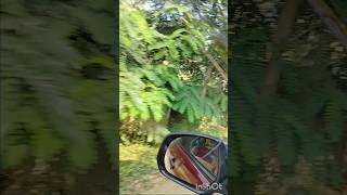 Good vibrationssridathanagarkesarapalliGannavaramDurgasworldlikeforyousubscribeviralvideo [upl. by Reinold]