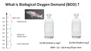 What is Biological Oxygen Demand BOD in Water   Importance of BOD in Effluent amp Sewage Treatment [upl. by Corvese]