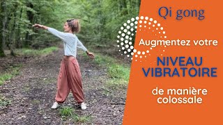 Qi gong débutant  augmentez votre niveau vibratoire de manière colossale [upl. by Ardnauqal]