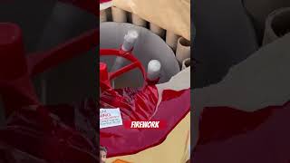 Firework fireworks christmas pyrotechnics funny 4thofjuly shorts trending viralvideo [upl. by Anairam]