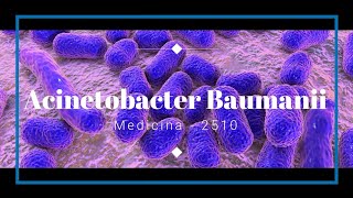 Acinetobacter Baumanii  Factores de patogenicidad y virulencia [upl. by Torruella321]