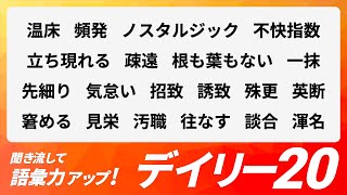 【デイリー語彙力 vol094】聞き流して語彙力アップ！【日本語・カタカナ語】 [upl. by Mile]