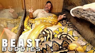 Snake God Wrestles 20ft Pythons  BEAST BUDDIES [upl. by Pepe147]