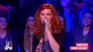 Anaïs Delva  Libérée délivrée Live  Le Grand 8 [upl. by Nonnair297]