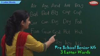 3 Letter Words  Three Letter Phonics Words  Sight Words  School Leaning [upl. by Prady]