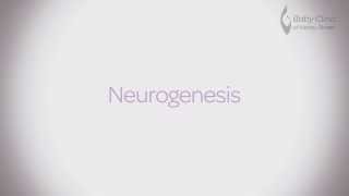 Neurogenesis  Nutrition for baby development [upl. by Karlene]