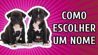 NOMES PARA CACHORROS  COMO ESCOLHER O NOME IDEAL [upl. by Aiotal598]