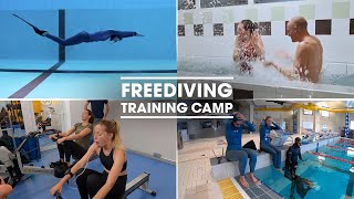 How PRO Freedivers Prepare for a Depth Season  Blue Addiction Team [upl. by Acinorehs]