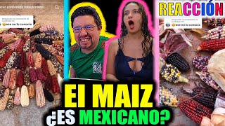 El origen del maíz ¿Es MEXICANO REALMENTE  Existen de TODOS los COLORES [upl. by Dahraf]