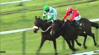 Historic Race at Towcester Racecourse [upl. by Muller]