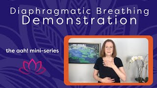 Diaphragmatic Breathing Demonstration [upl. by Hgeilyak]