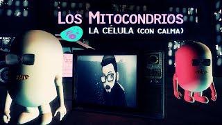 Los Mitocondrios  La Célula Con Calma [upl. by Akemahc725]