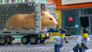 Hamster AMAZEING LEGO Obstacle Course  Hamster Escapes from Prison Maze [upl. by Towny]