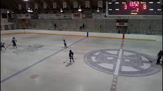 Bottineau Blue Line Club Hockey [upl. by Faubion]