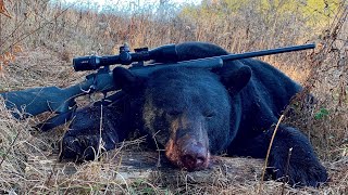 MONSTER BLACK BEAR HUNT  THE SEASON 2019 [upl. by Ryan606]