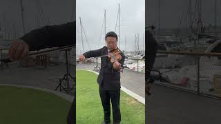 Hedwigs Theme Harry Potter harrypotter harrypotteredit violin violincoverviolinist hedwig [upl. by Jocelin]