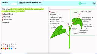 Struggling with The Flower NEET 2019 May Q92 Simplified for You  gotouniversity [upl. by Simah]