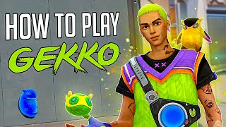 How to Play GEKKO Advanced Gekko Tutorial [upl. by Heffron]