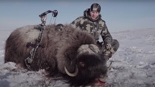 Alaskan Musk Ox Hunting in Toksook Bay [upl. by Isabea]