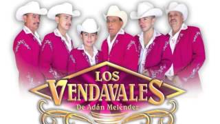 Los Vendavalez De Adan Cumbias El Cafetal Carmelita [upl. by Pasia]